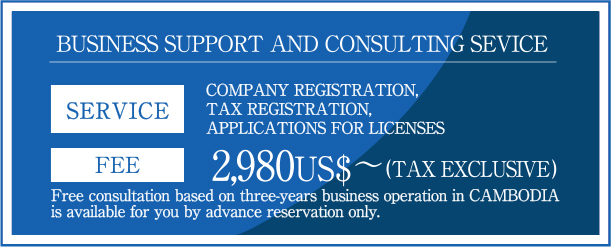 Business support and consulting service